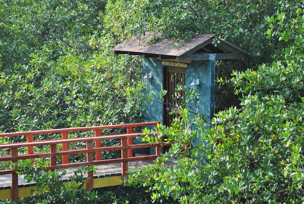Hotel Estero Y Mar Playa el Pimental Ngoại thất bức ảnh